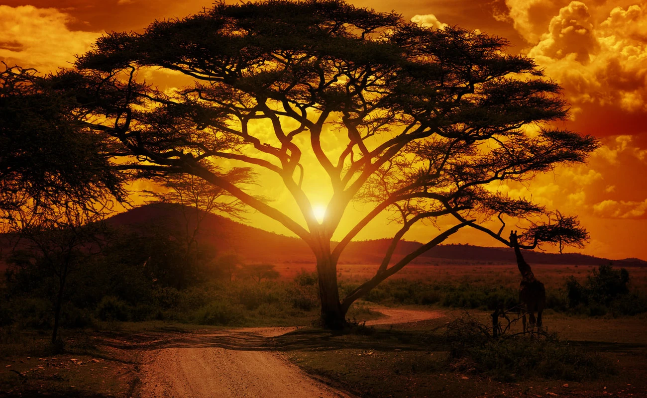Sonnenuntergang